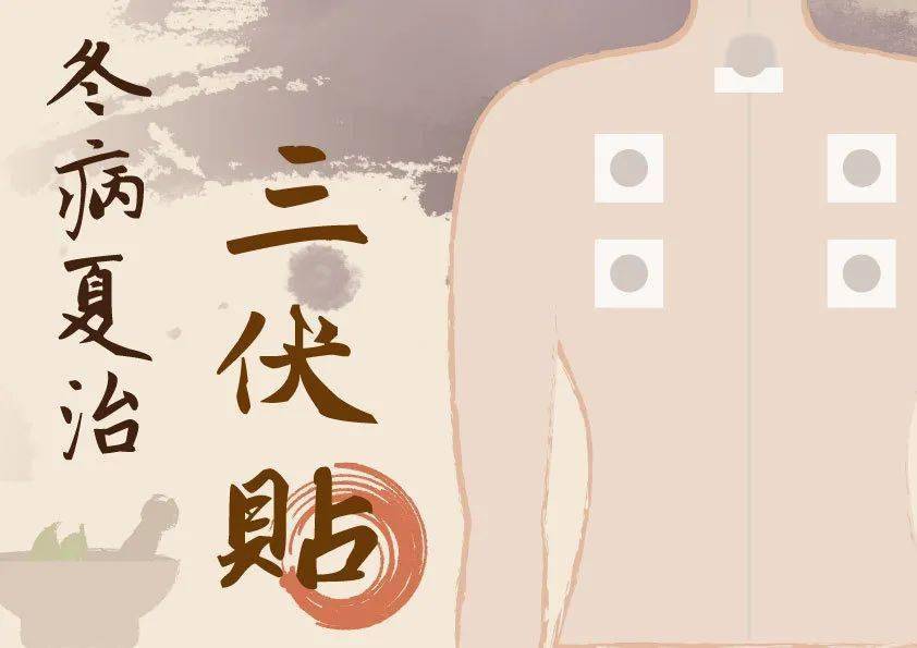 三伏貼批發(fā)廠家直銷！專業(yè)品質(zhì)，優(yōu)惠價(jià)格，助您贏得市場(chǎng)！